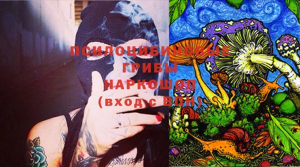 индика Алзамай