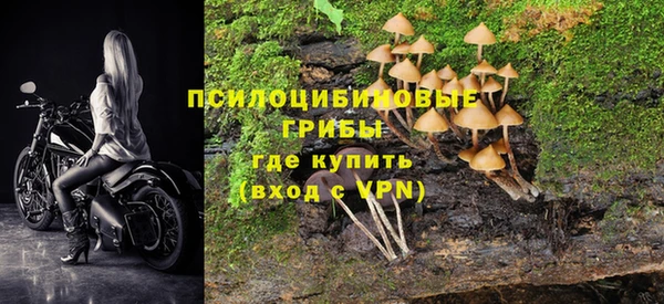 крисы Алексин