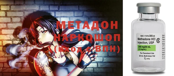 индика Алзамай