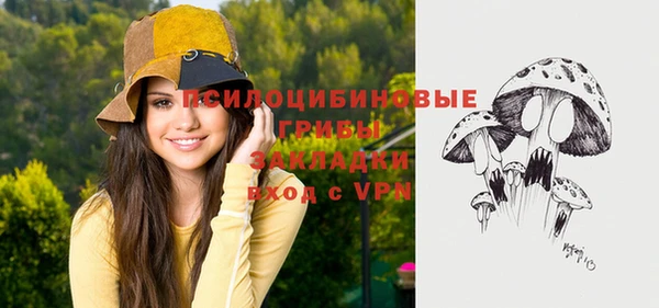 индика Алзамай