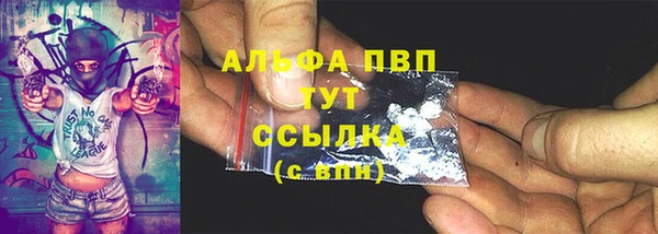 крисы Алексин