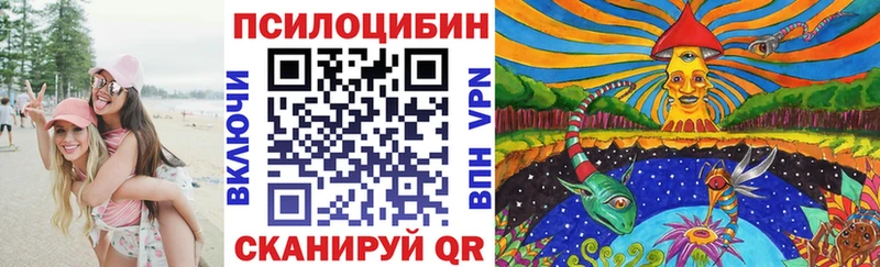 ссылка на мегу ссылки  Краснознаменск  Псилоцибиновые грибы Magic Shrooms 