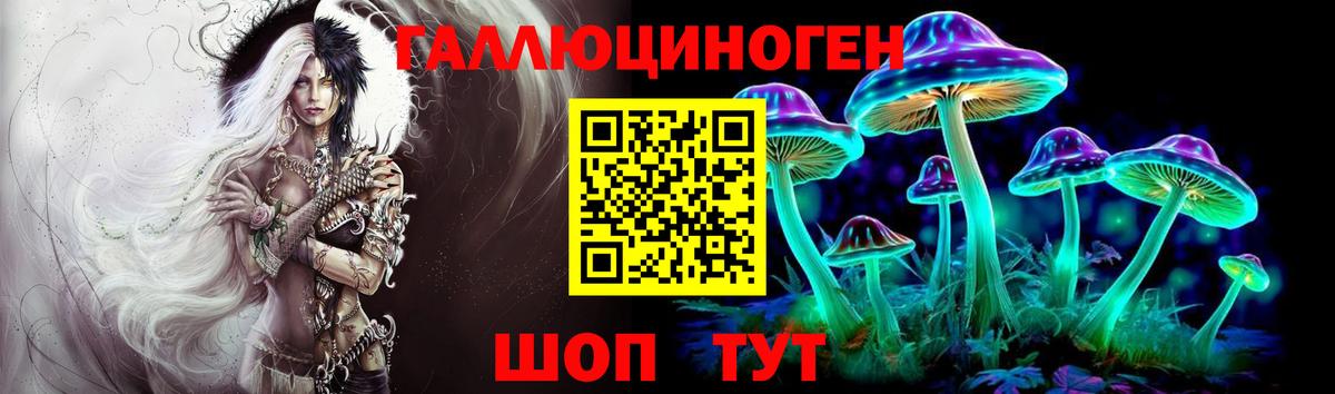 Краснознаменск  Галлюциногенные грибы прущие грибы  Вход с VPN 